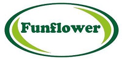   funflower.ru