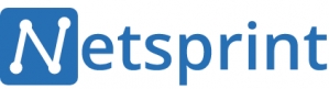 Netsprint -   , 