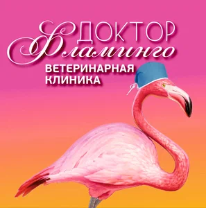 ������ �������� ��������