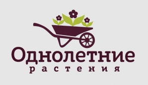 ���������� �������� - �������� �������� � ������