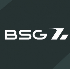 BSG GROUP
